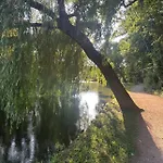 L'alcove Alsacienne Chaleureux Avec Climatisation アパート *