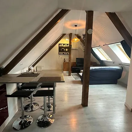 Διαμέρισμα L'alcove Alsacienne Avec Climatisation Et Terrasse
