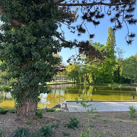 L'alcove Alsacienne Chaleureux Avec Chauffаge Lägenhet