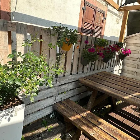 L'alcove Alsacienne Chaleureux Avec Chauffаge Lägenhet *