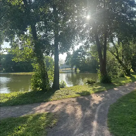 L'alcove Alsacienne Avec Climatisation Et Terrasse * Entzheim