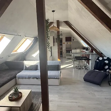 Lägenhet L'alcove Alsacienne Chaleureux Avec Chauffаge *