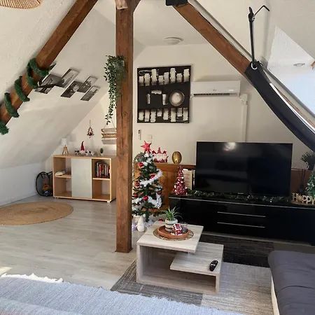 L'alcove Alsacienne Chaleureux Avec Climatisation Lägenhet *
