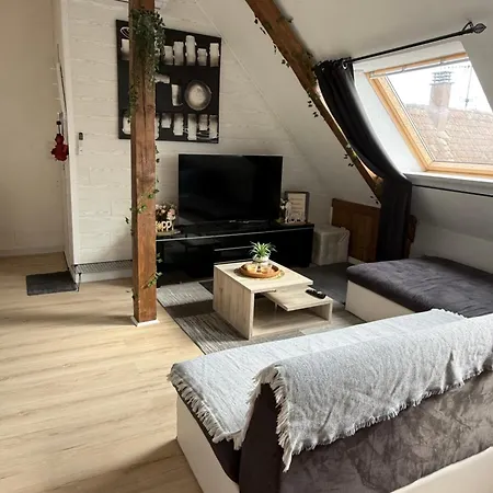 L'alcôve Alsacienne Chaleureux Avec Chauffаge Appartement