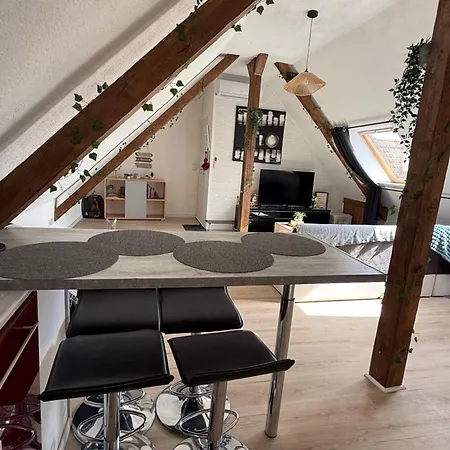 L'alcôve Alsacienne Chaleureux Avec Chauffаge *