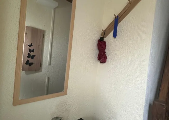 L'alcôve Alsacienne Chaleureux Avec Chauffаge