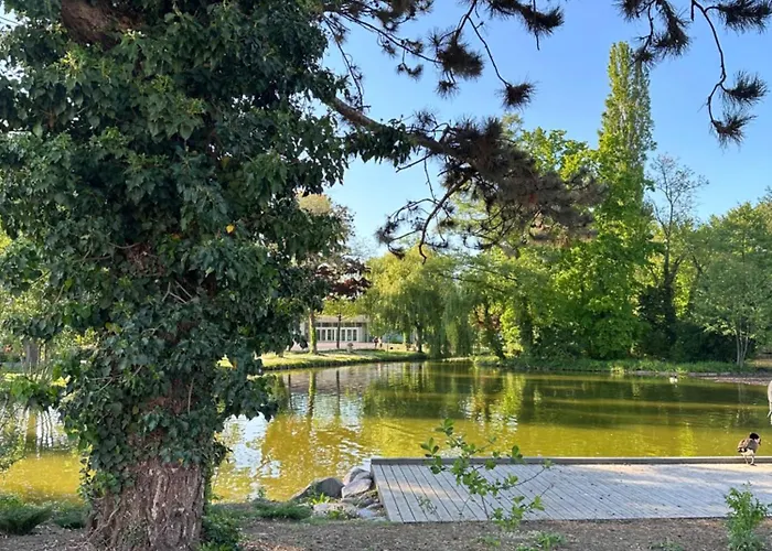 L'alcôve Alsacienne Chaleureux Avec Chauffаge Appartement