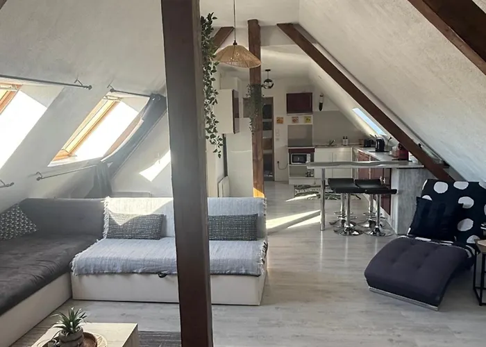 Appartement L'alcôve Alsacienne Chaleureux Avec Chauffаge *