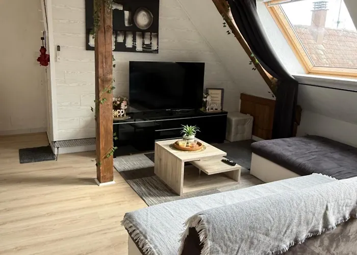 L'alcôve Alsacienne Chaleureux Avec Chauffаge Appartement